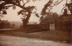 Old Manor Farm & Church