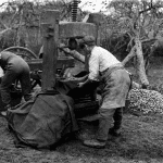 Cider making at Lickfold 1924